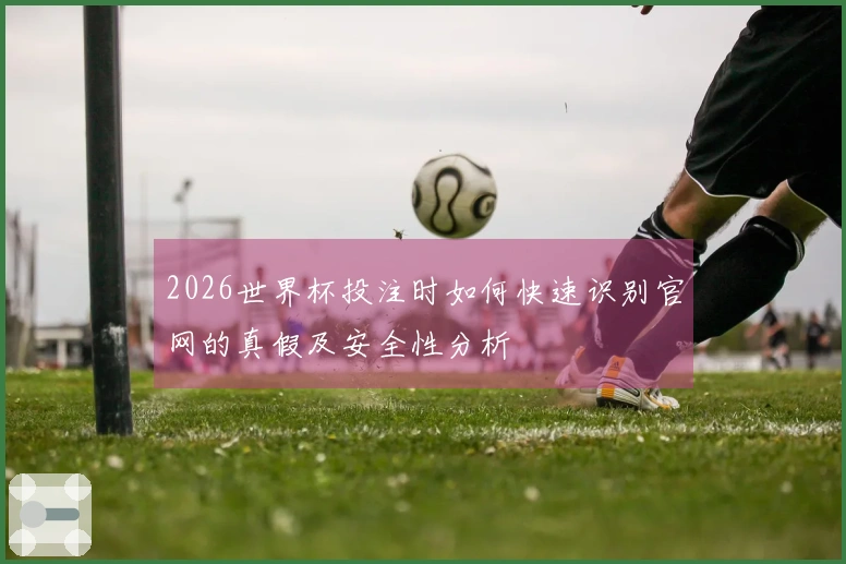 2026世界杯投注时如何快速识别官网的真假及安全性分析