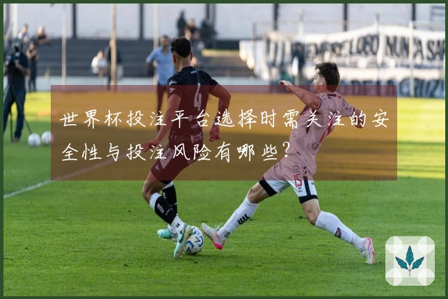 世界杯投注平台选择时需关注的安全性与投注风险有哪些？