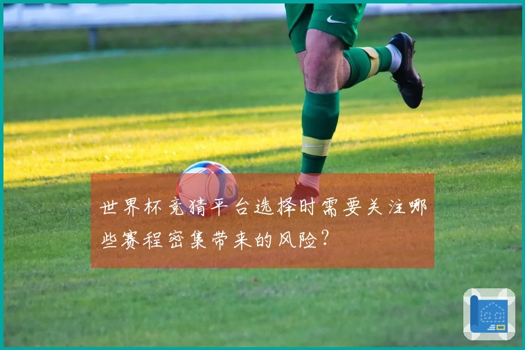 世界杯竞猜平台选择时需要关注哪些赛程密集带来的风险？