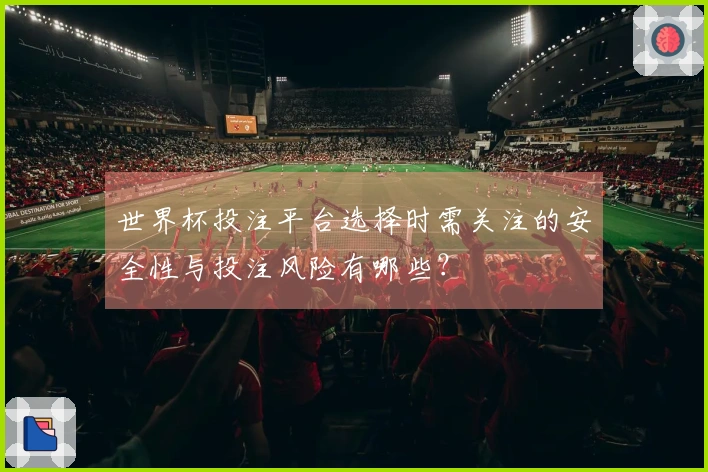 世界杯投注平台选择时需关注的安全性与投注风险有哪些？