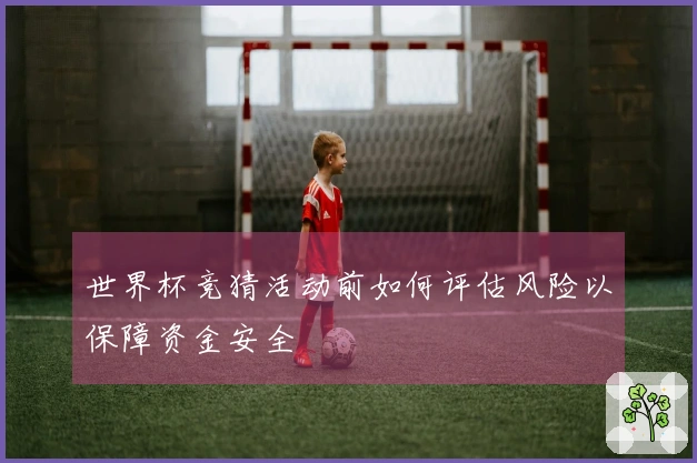 世界杯竞猜活动前如何评估风险以保障资金安全