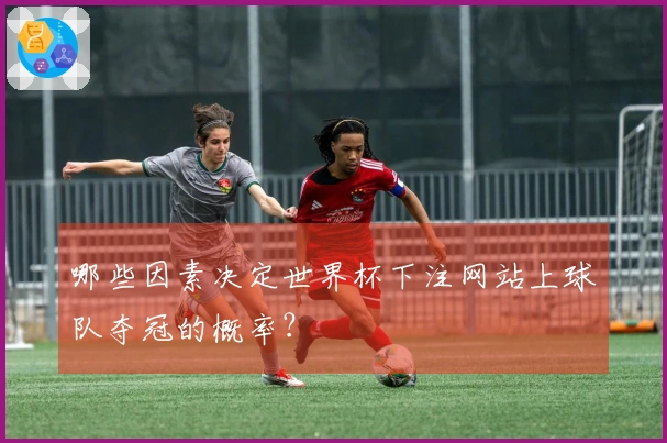 哪些因素决定世界杯下注网站上球队夺冠的概率?