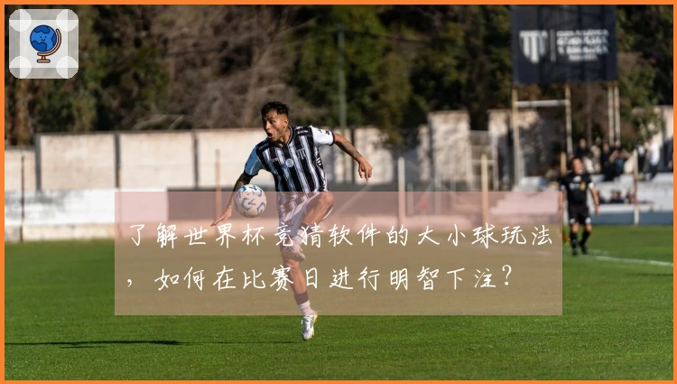 了解世界杯竞猜软件的大小球玩法，如何在比赛日进行明智下注？